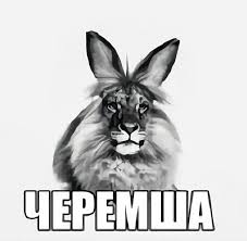 черемша оригинал мема