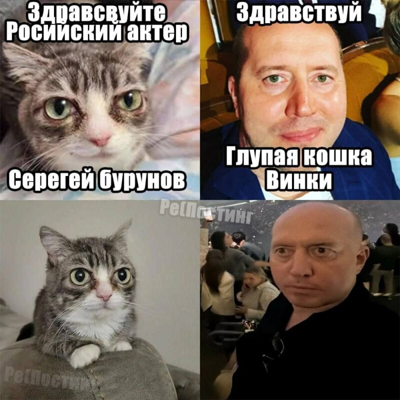 мемы июня 2026 мемы июня 2026