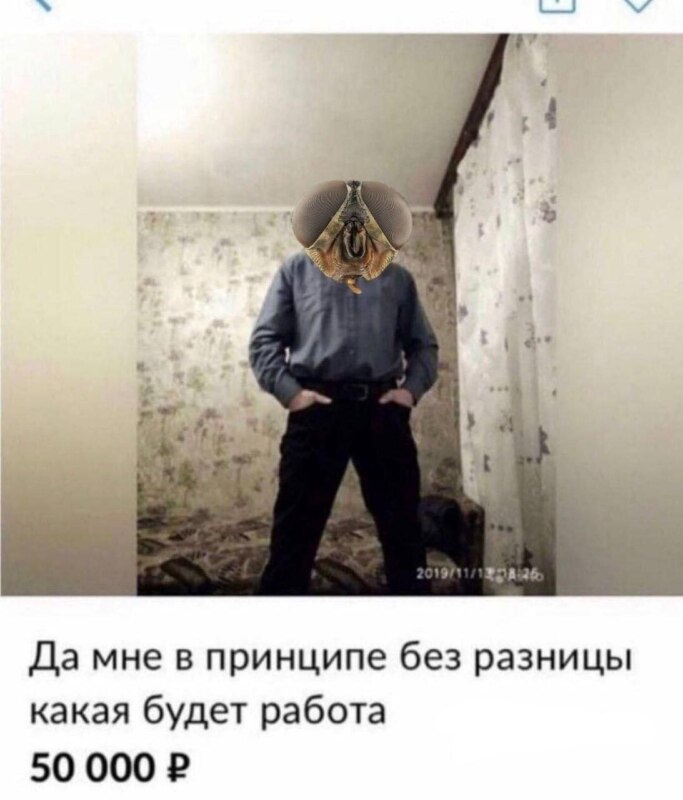 мозг мухи мем мозг мухи мем