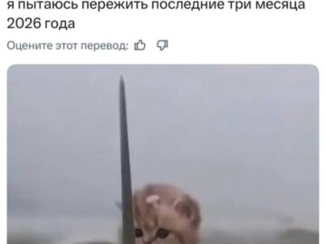 Котенок с мечом