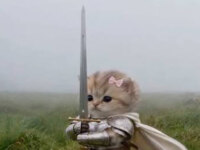 Котенок с мечом
