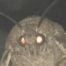 id196140097